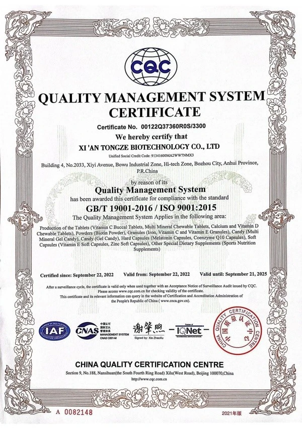 ISO9001